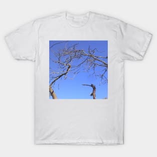 Pigeon in a dead tree. T-Shirt